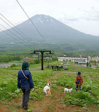 山菜採り