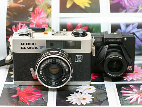 ELNICA F
