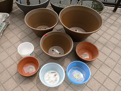 容器s