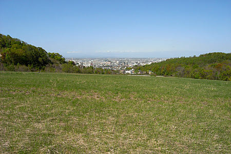 裏山から