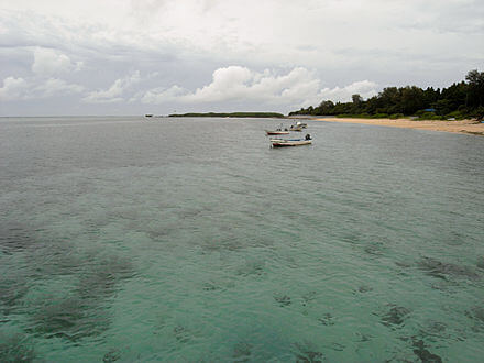 沖縄の海