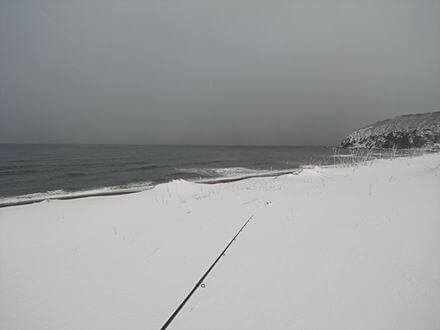 あの日の海