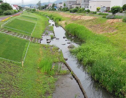 旧中の川