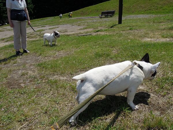 近くの公園へ