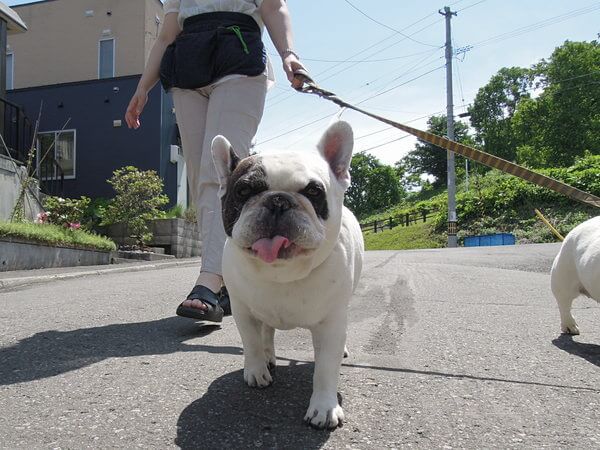 パーンチ