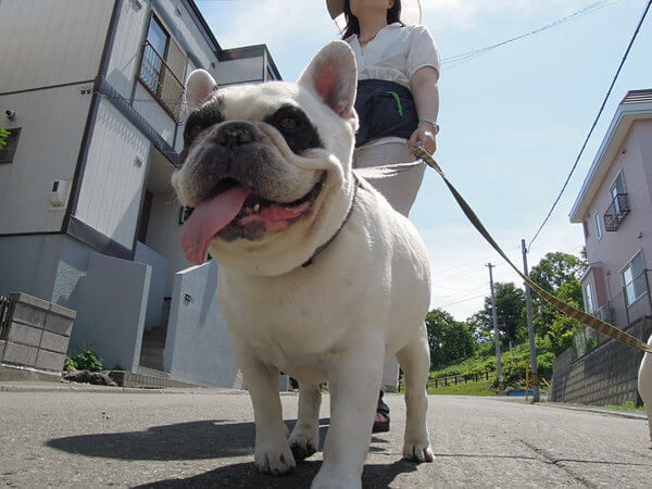 舌ながすぎ