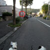 イヌ散歩