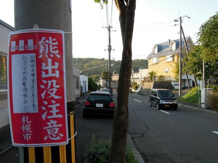 熊看板