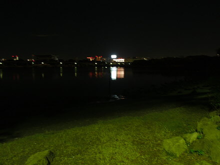 某公園