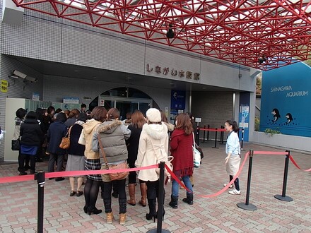 しながわ水族館