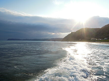 サクラポイント