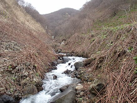 某河川