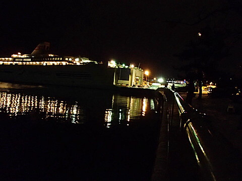 マメイカ夜釣り