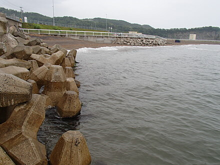 美国小泊