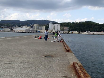 釣り人少なめ