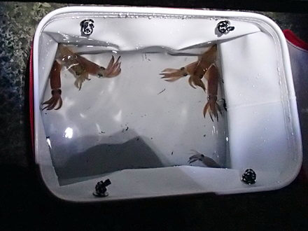 だんだん思い出してきた