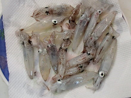 よき恵みかな