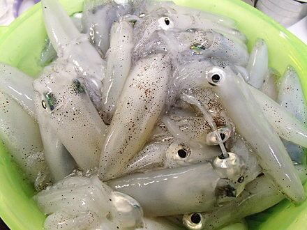 おいしイカ？