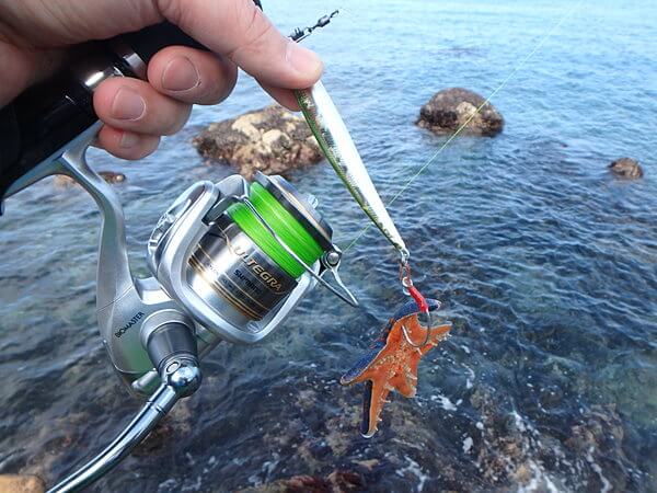 ヒトデがヒット!