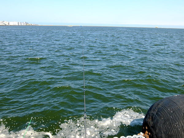 水色が緑っぽい