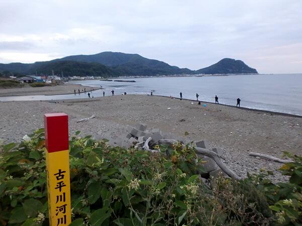 8月にサケ狙い