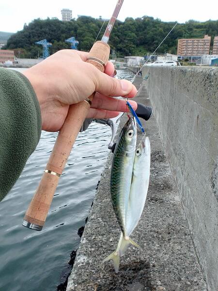 ダブルで、キターッ!