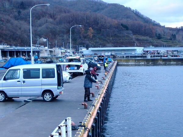 やってますね