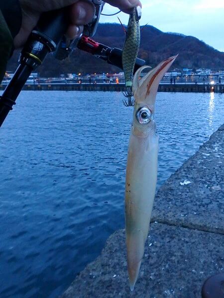 明けてもヤリが来る!