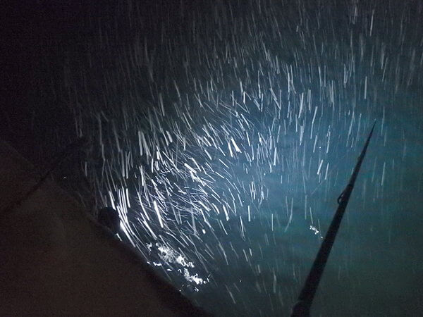 はげしい吹雪で穂先が見えない・・
