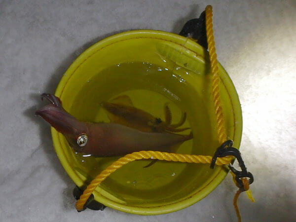 はみ出ちゃいます