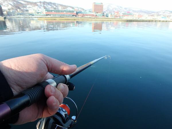 釣り方よく分からないけど・・