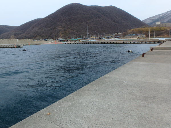 飛ばされそう・・
