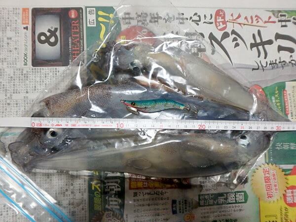 ヤリさん、自己記録？