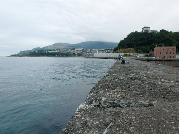 根元の方は結構浅め