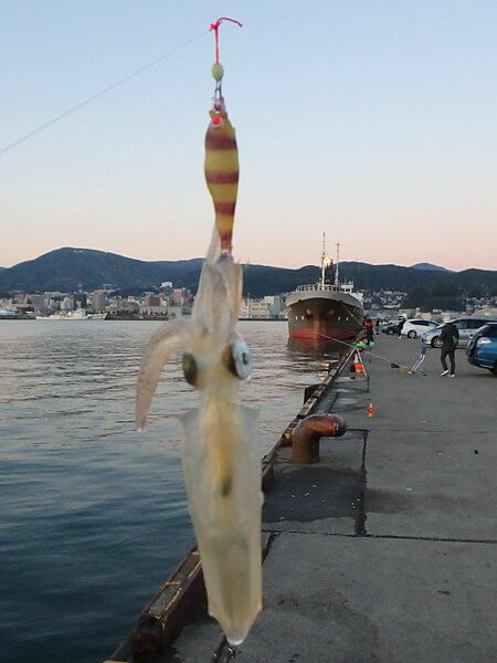 だんだん渋くなって・・