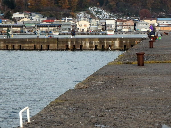 やっぱりイカも釣りたくて
