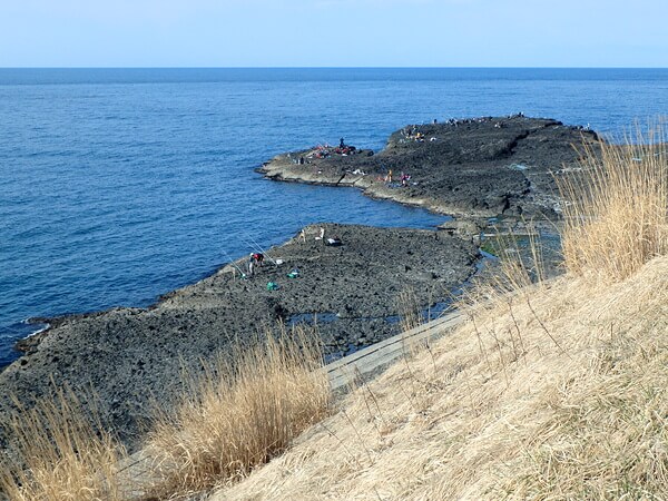 ほぼ投げ釣り
