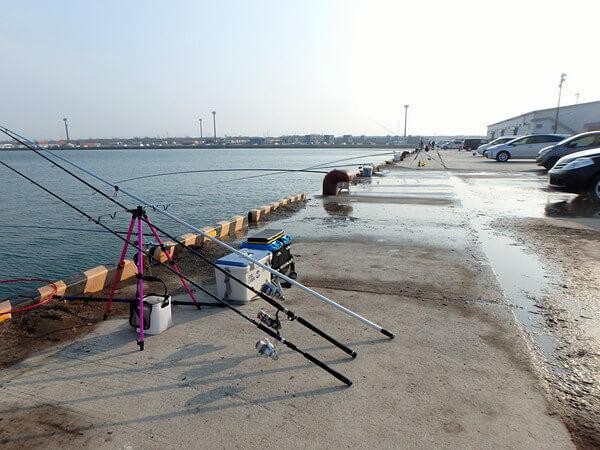 釣れてない・・
