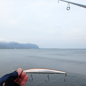 ショアライン17cm