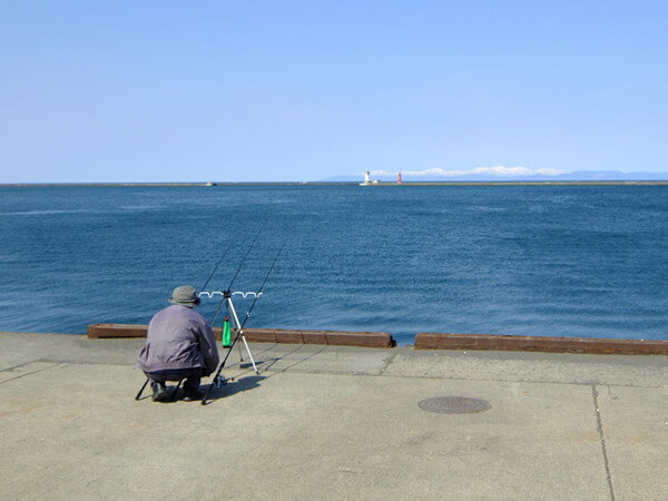 日中の偵察