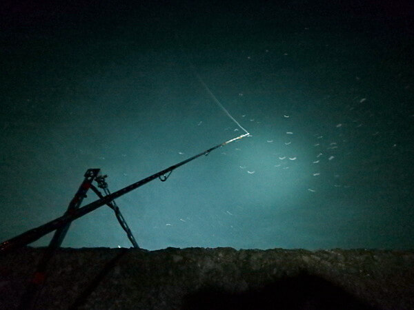 投光器セットで釣り開始