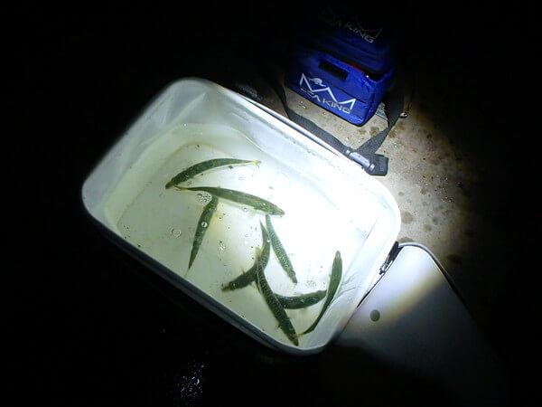 どんどんサバ追加！