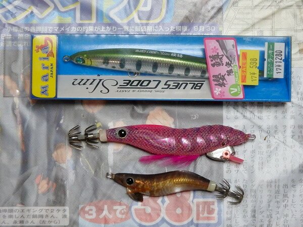 某閉店セールにて、ジグミノーGet!
