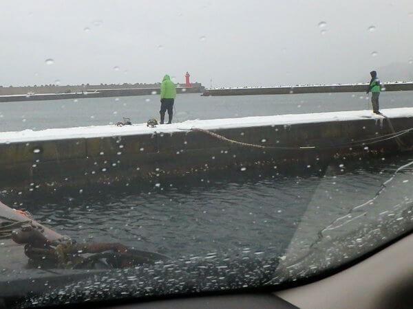 雨の中、車内から観察・・