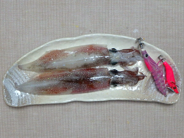 本日のお持ち帰り