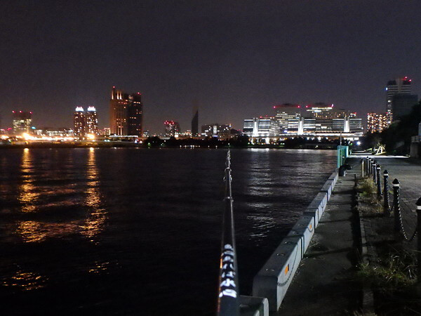 夜景がキレイ・・
