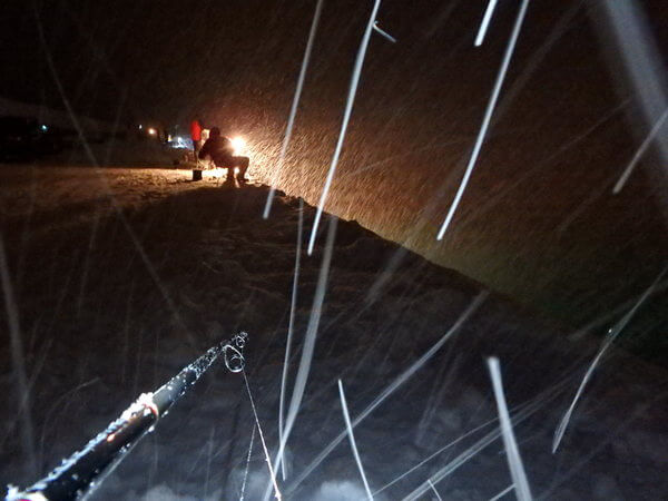 雪が降ってきた・・