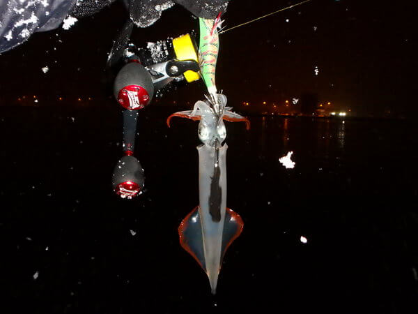 輝きMAXでヤリ追加