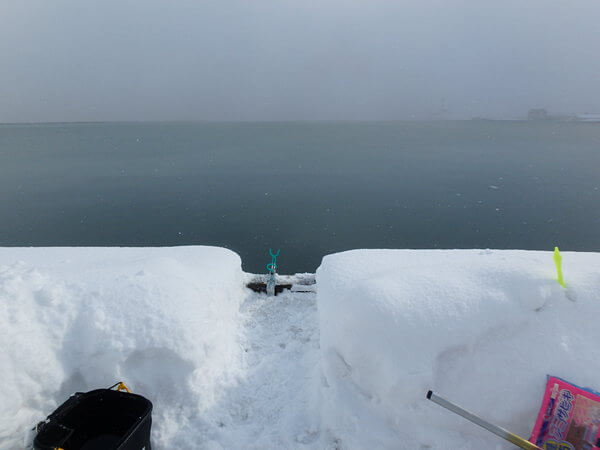 最低限、雪よけ