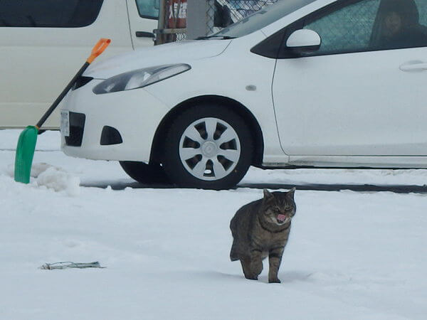 報われない港内パトロール・・